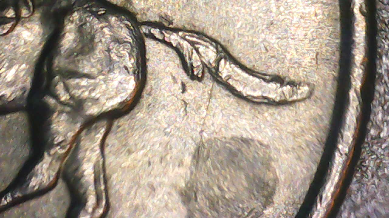 1999-Spitting-Horse-Delaware-State-Quarter
